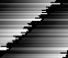 Scale